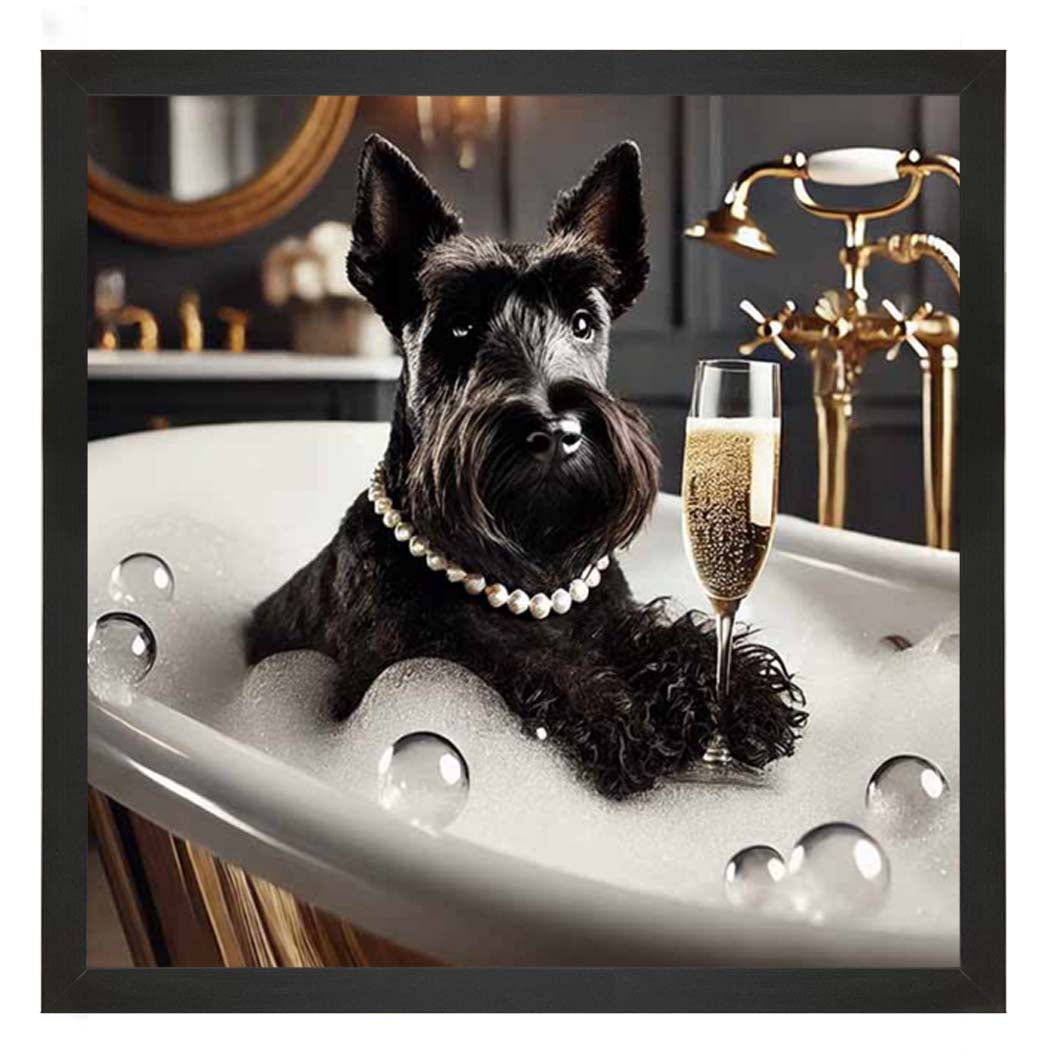AN2255 Glamorous Scotties
