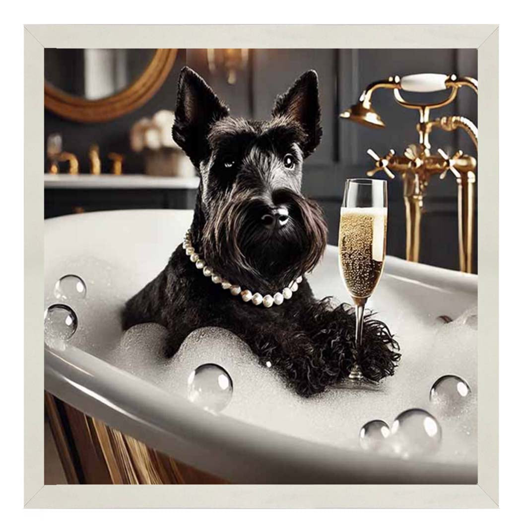 AN2255 Glamorous Scotties