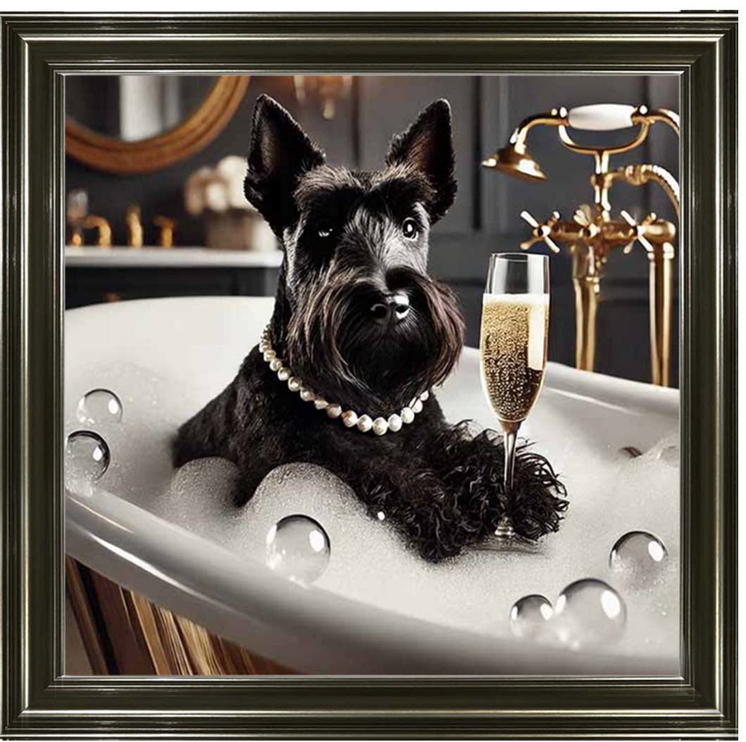 AN2255 Glamorous Scotties