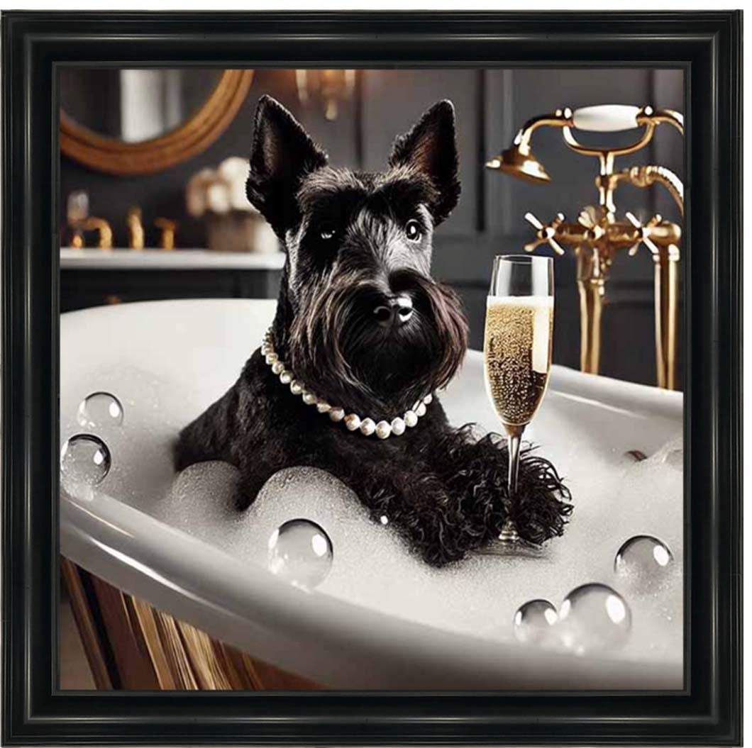 AN2255 Glamorous Scotties
