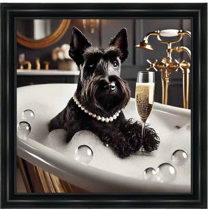 AN2255 Glamorous Scotties