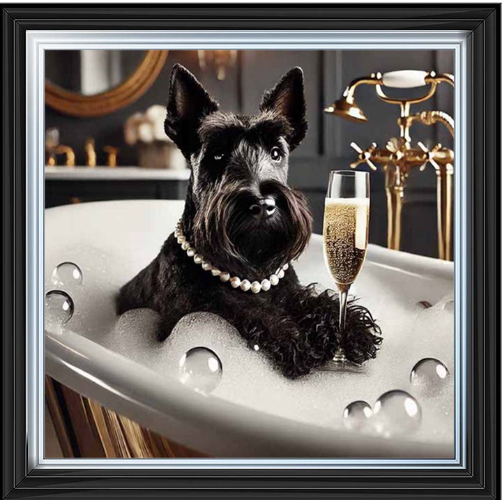 AN2255 Glamorous Scotties