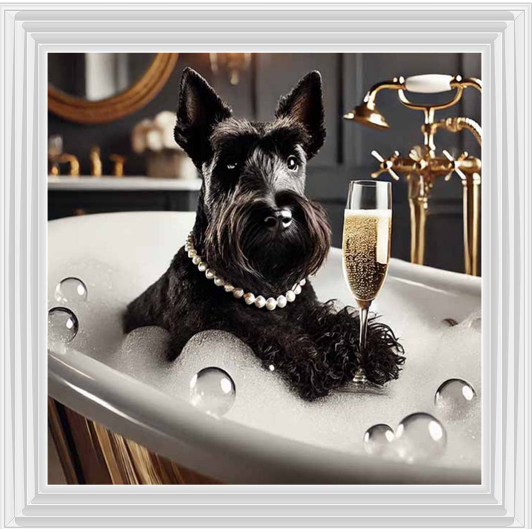 AN2255 Glamorous Scotties