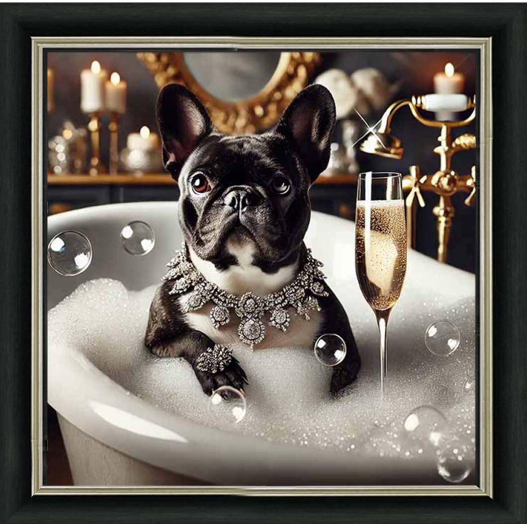 AN2256 Glamorous French Bulldog