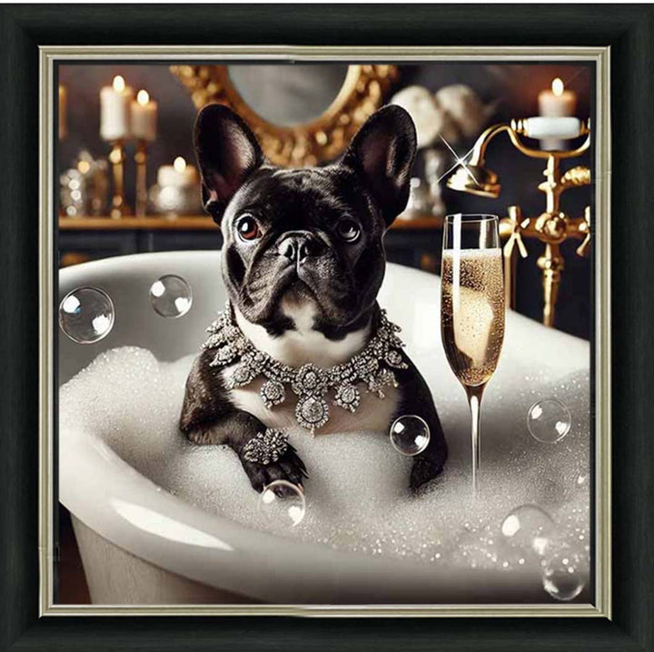 AN2256 Glamorous French Bulldog