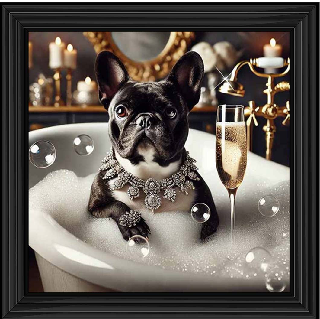 AN2256 Glamorous French Bulldog