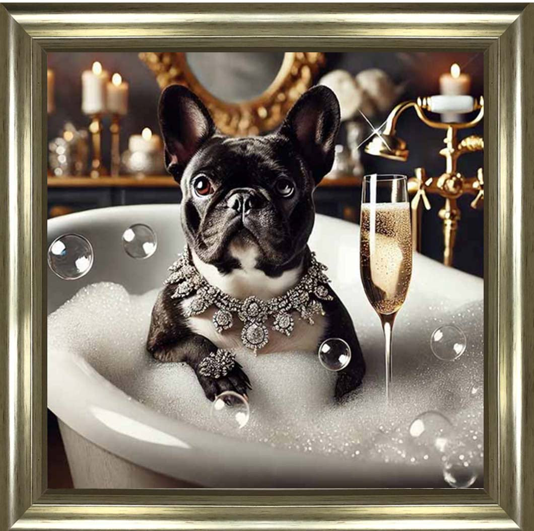 AN2256 Glamorous French Bulldog