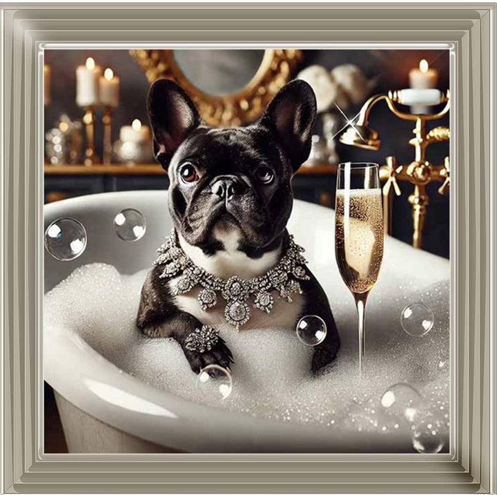 AN2256 Glamorous French Bulldog