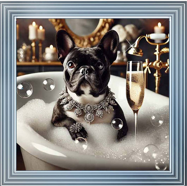 AN2256 Glamorous French Bulldog