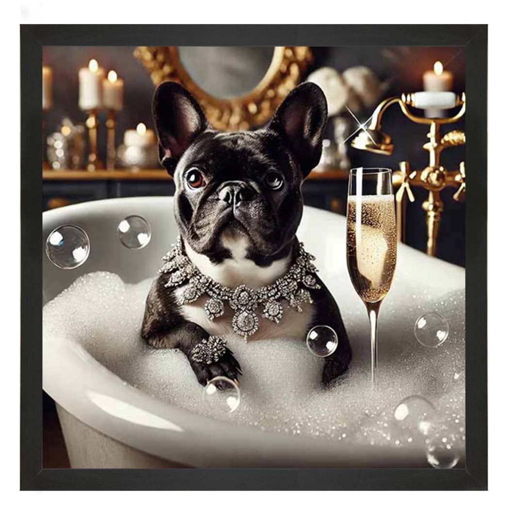 AN2256 Glamorous French Bulldog