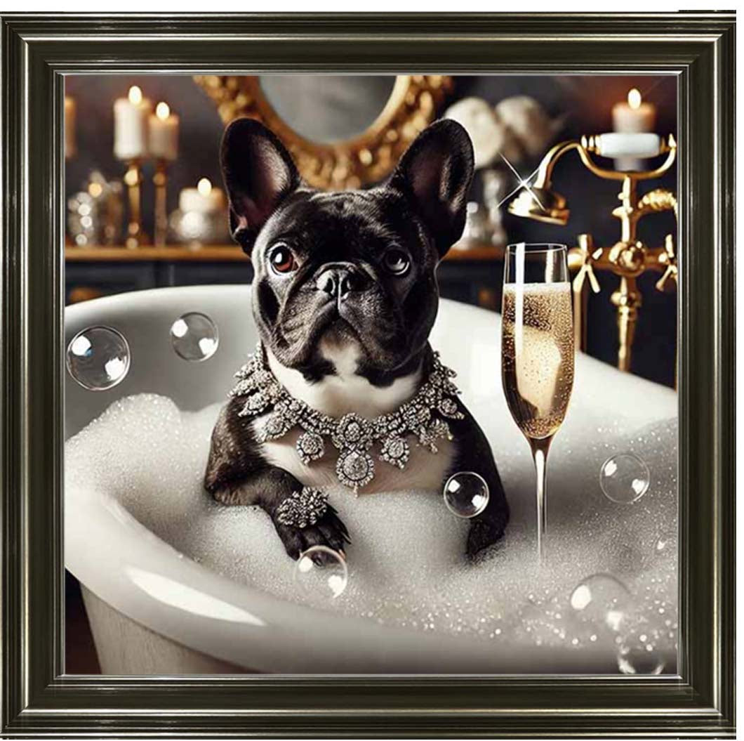 AN2256 Glamorous French Bulldog