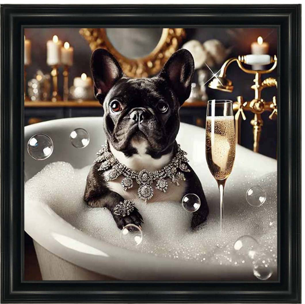 AN2256 Glamorous French Bulldog