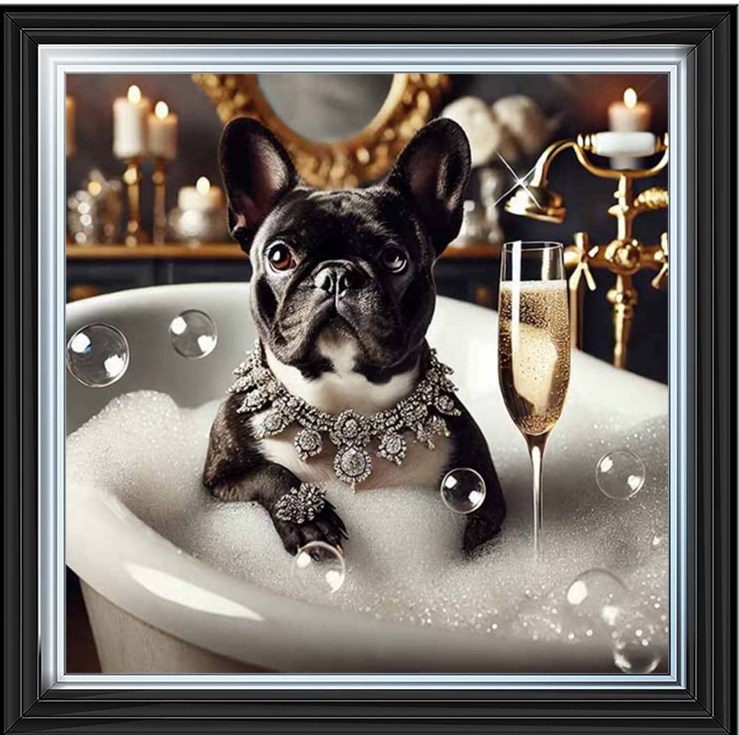 AN2256 Glamorous French Bulldog