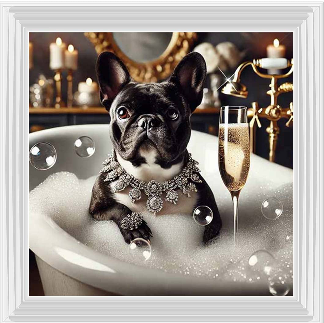 AN2256 Glamorous French Bulldog