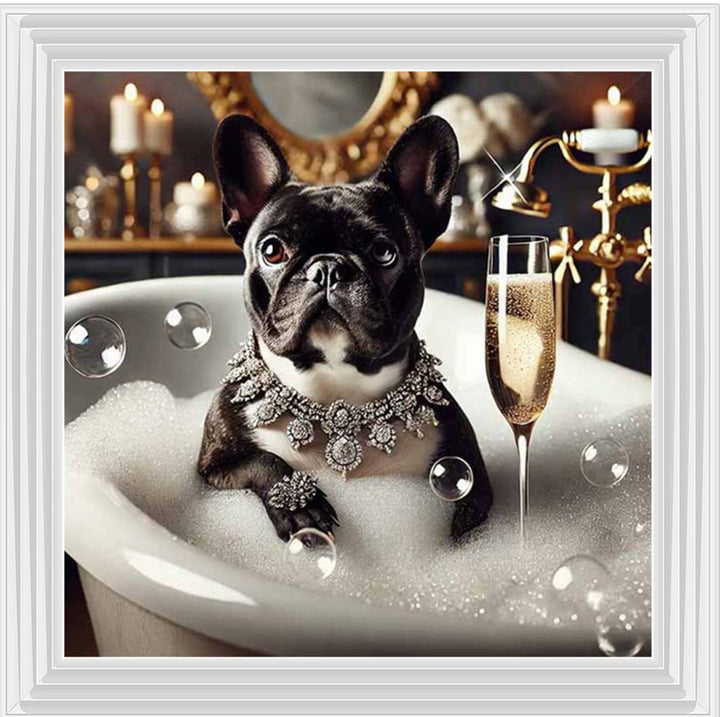 AN2256 Glamorous French Bulldog