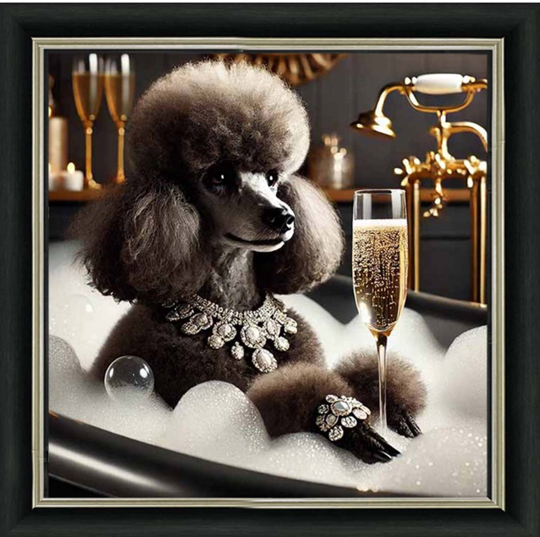 AN2257 Glamorous Poodle