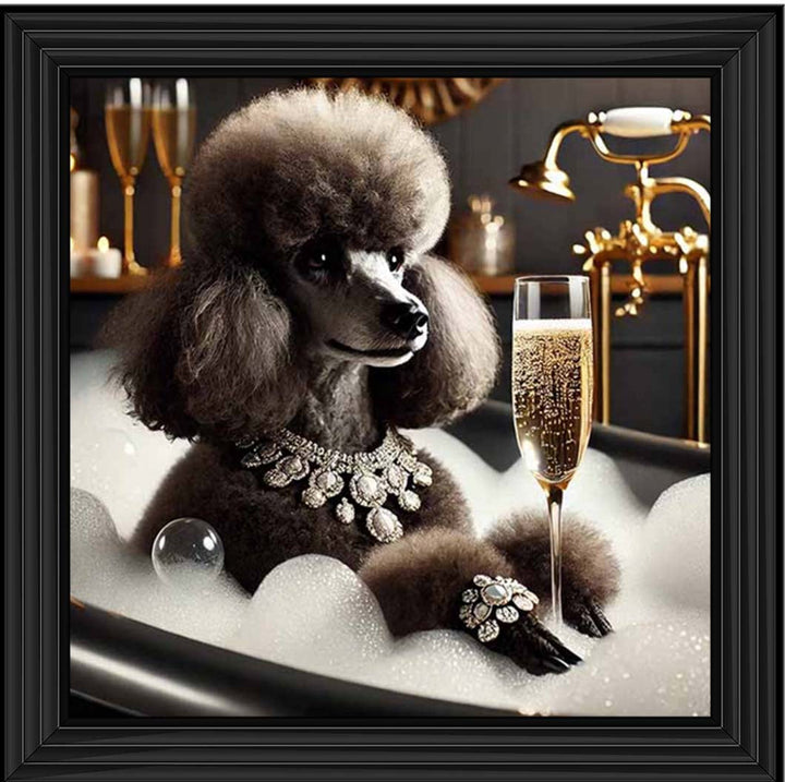 AN2257 Glamorous Poodle