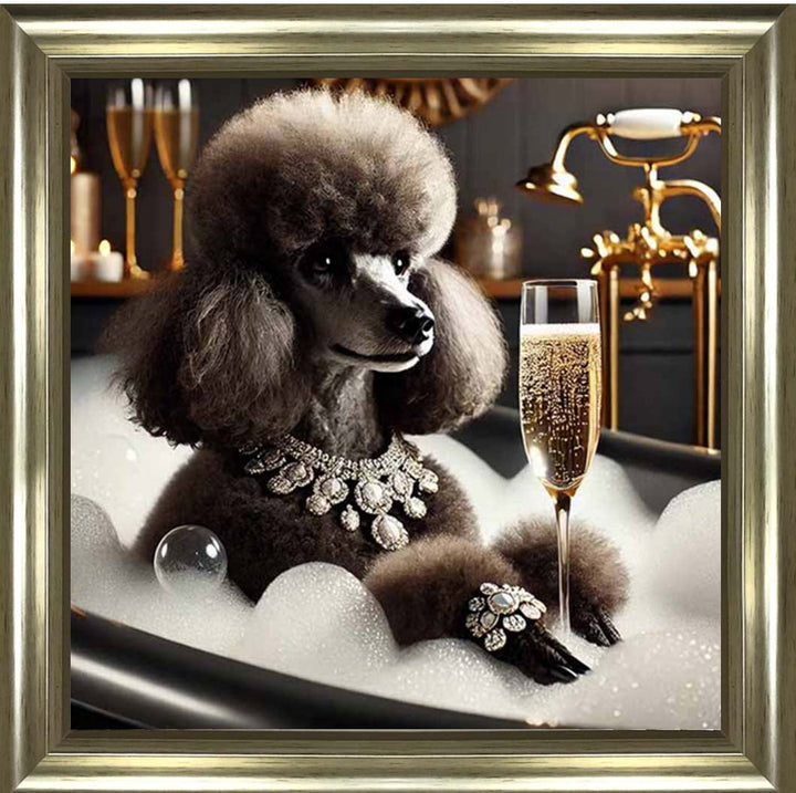AN2257 Glamorous Poodle