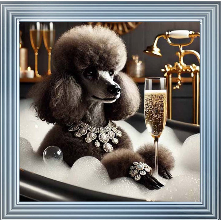 AN2257 Glamorous Poodle