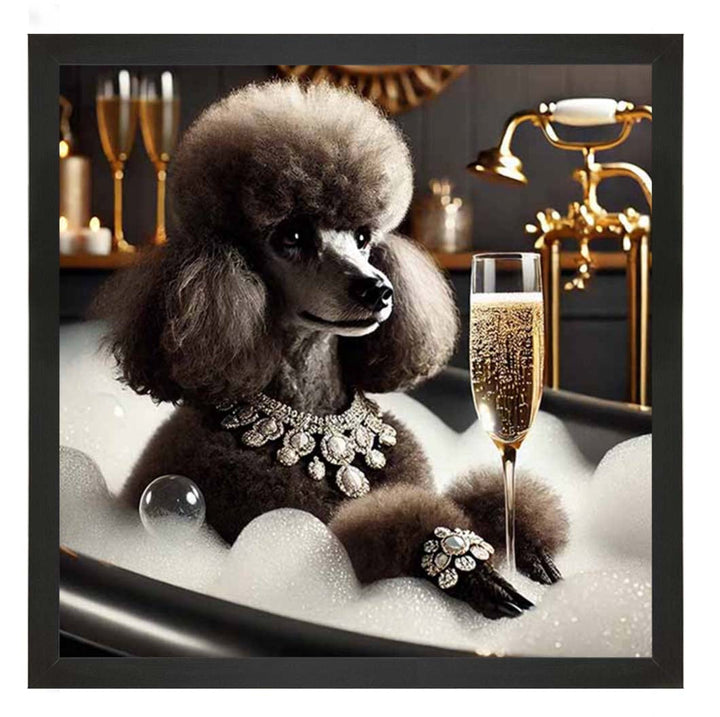 AN2257 Glamorous Poodle
