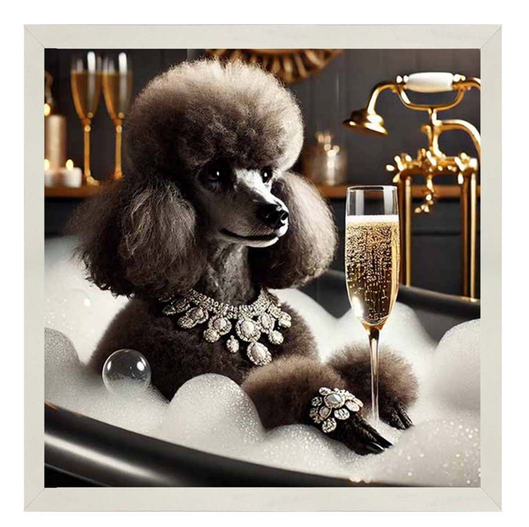 AN2257 Glamorous Poodle