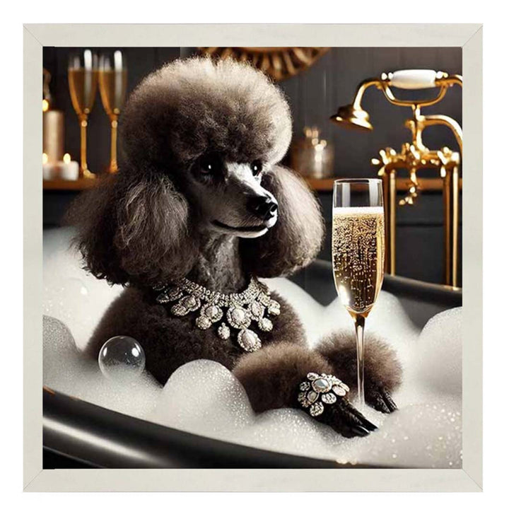 AN2257 Glamorous Poodle