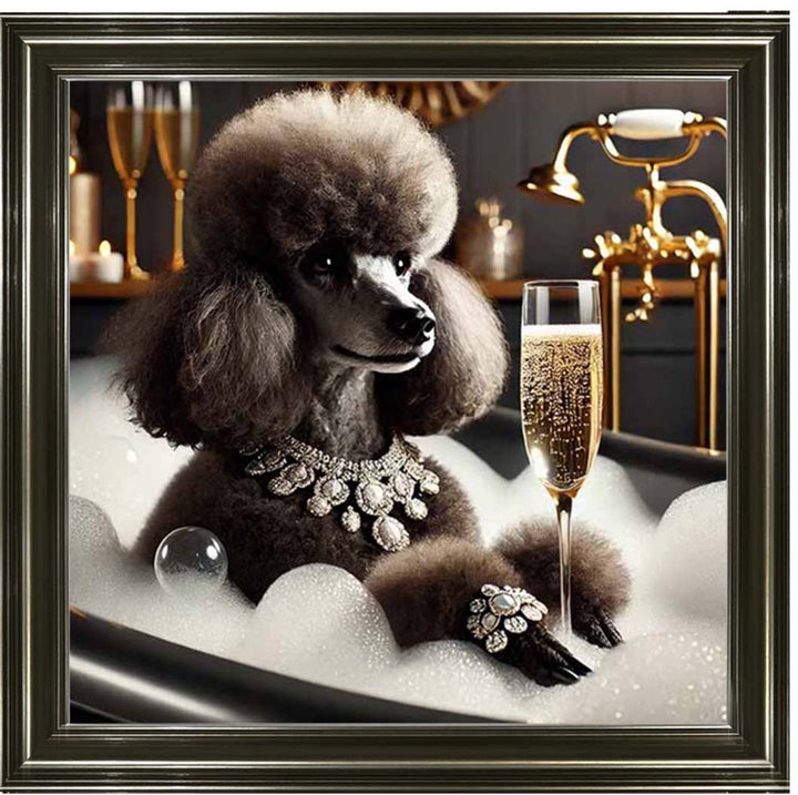 AN2257 Glamorous Poodle