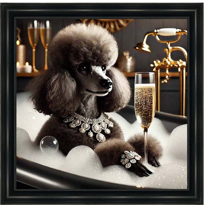AN2257 Glamorous Poodle