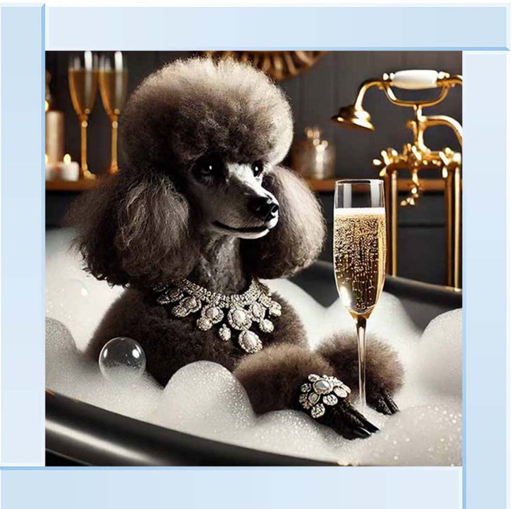AN2257 Glamorous Poodle