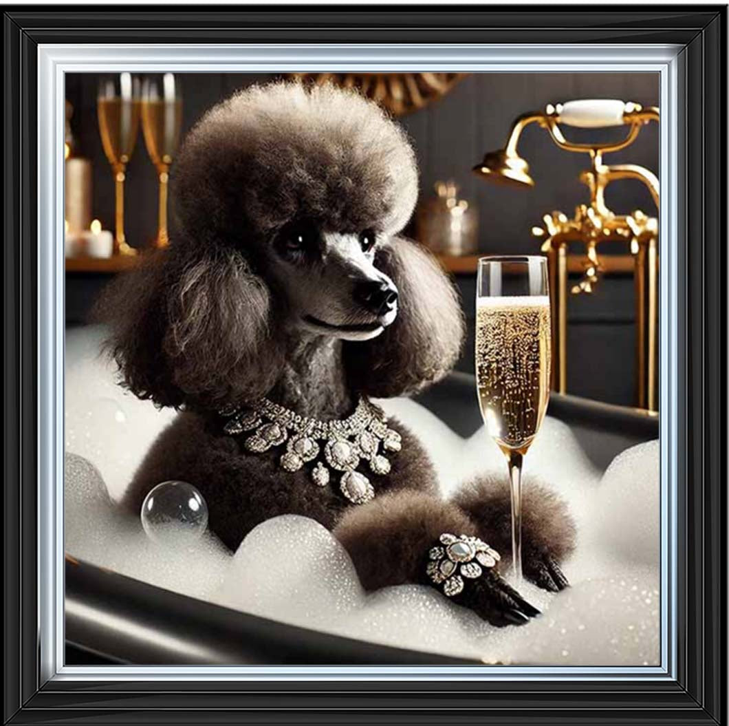 AN2257 Glamorous Poodle