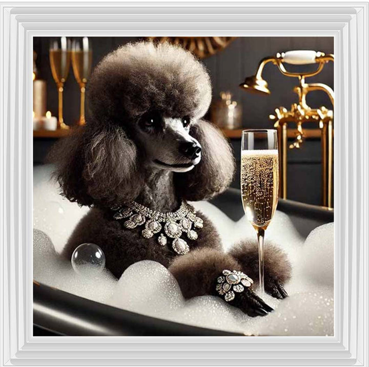AN2257 Glamorous Poodle