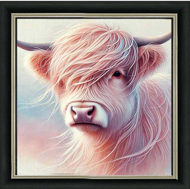 AN2265 Highland Cow