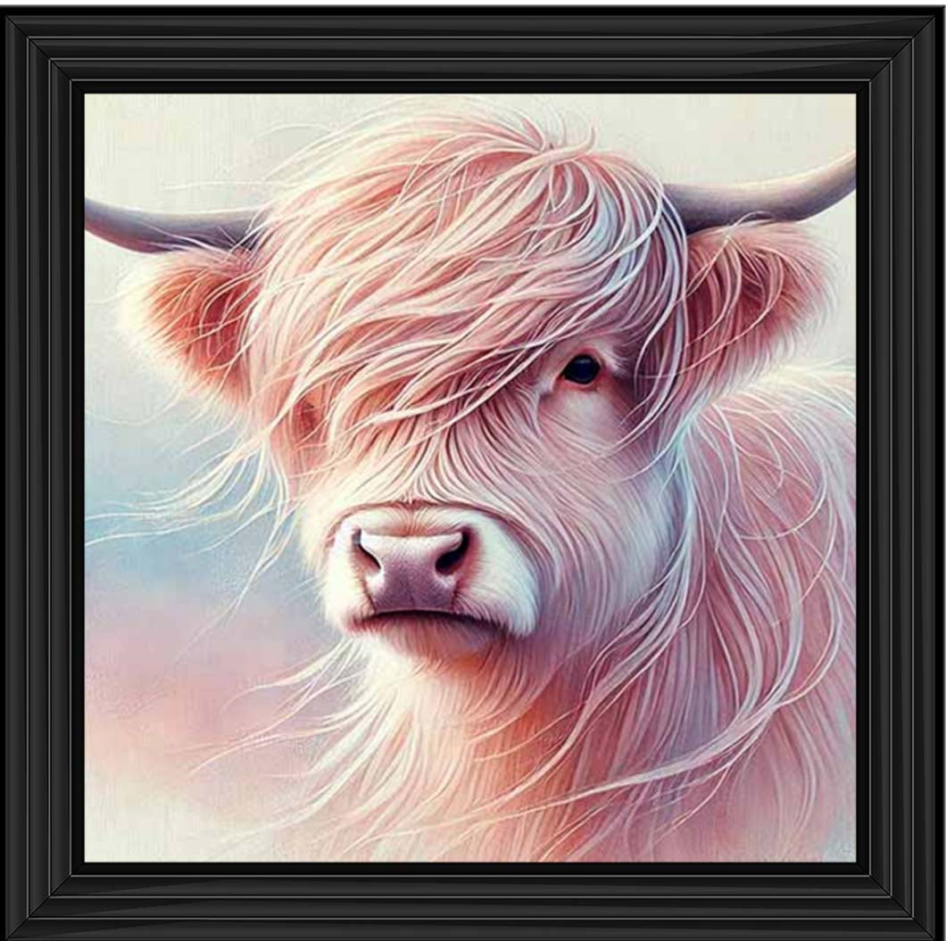 AN2265 Highland Cow