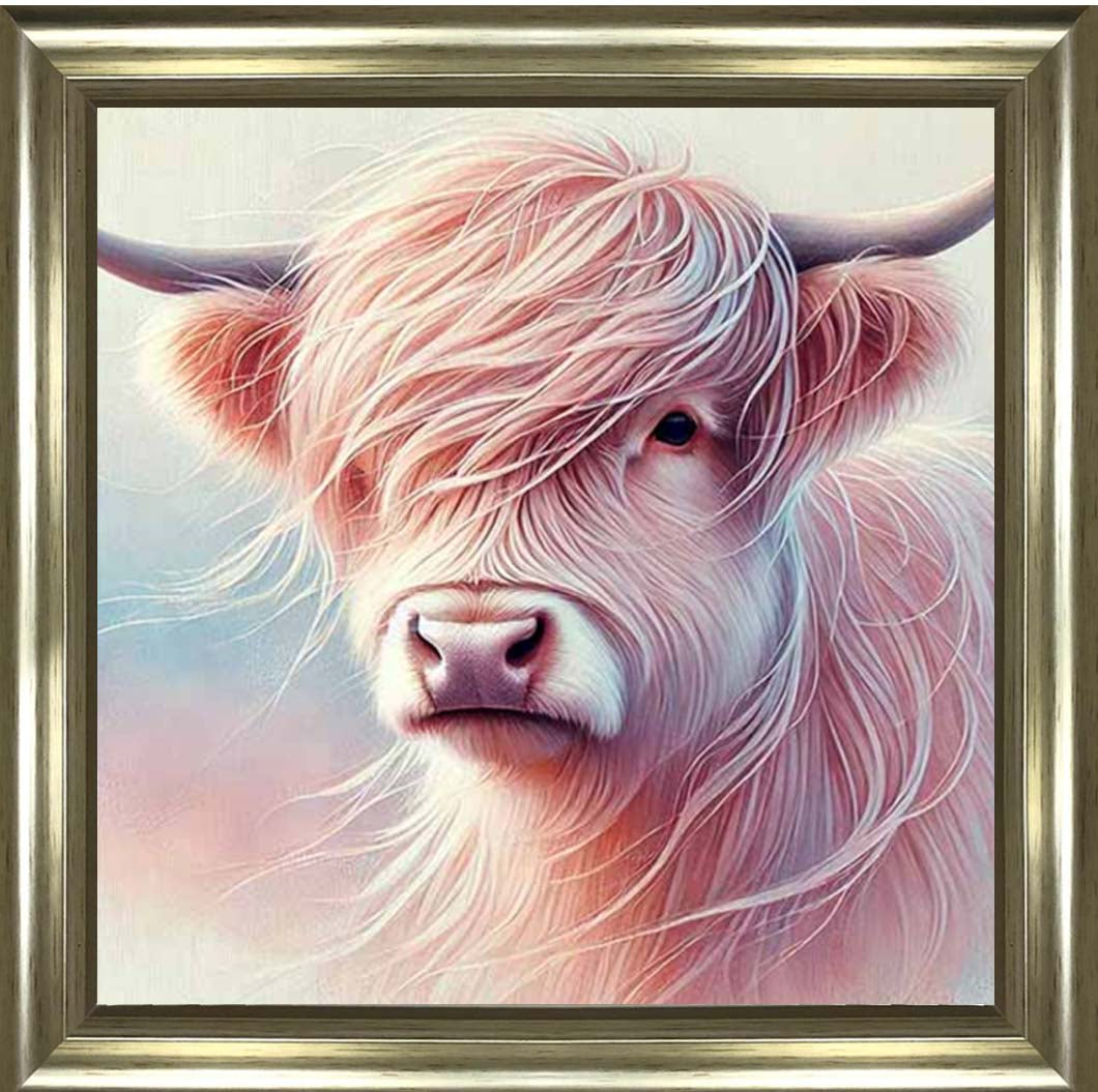 AN2265 Highland Cow