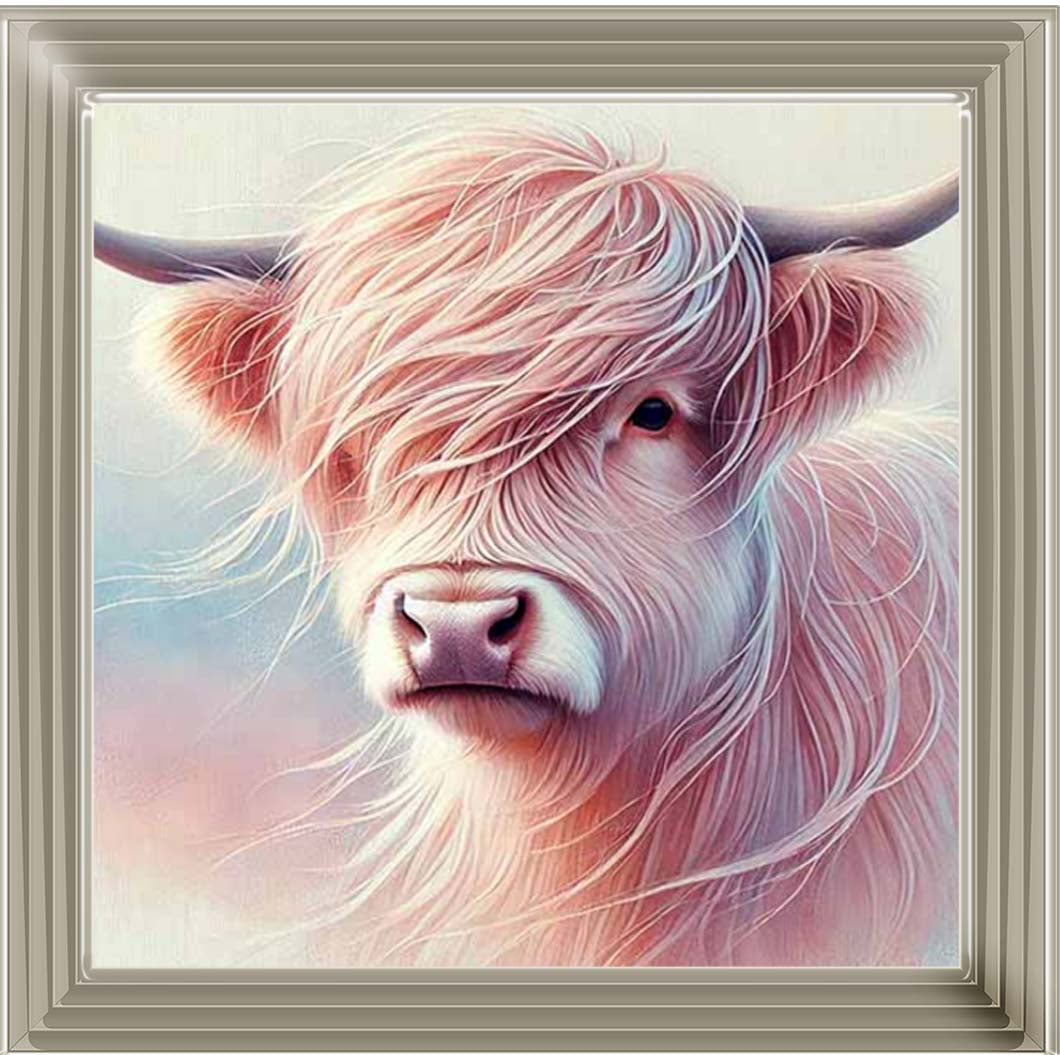AN2265 Highland Cow