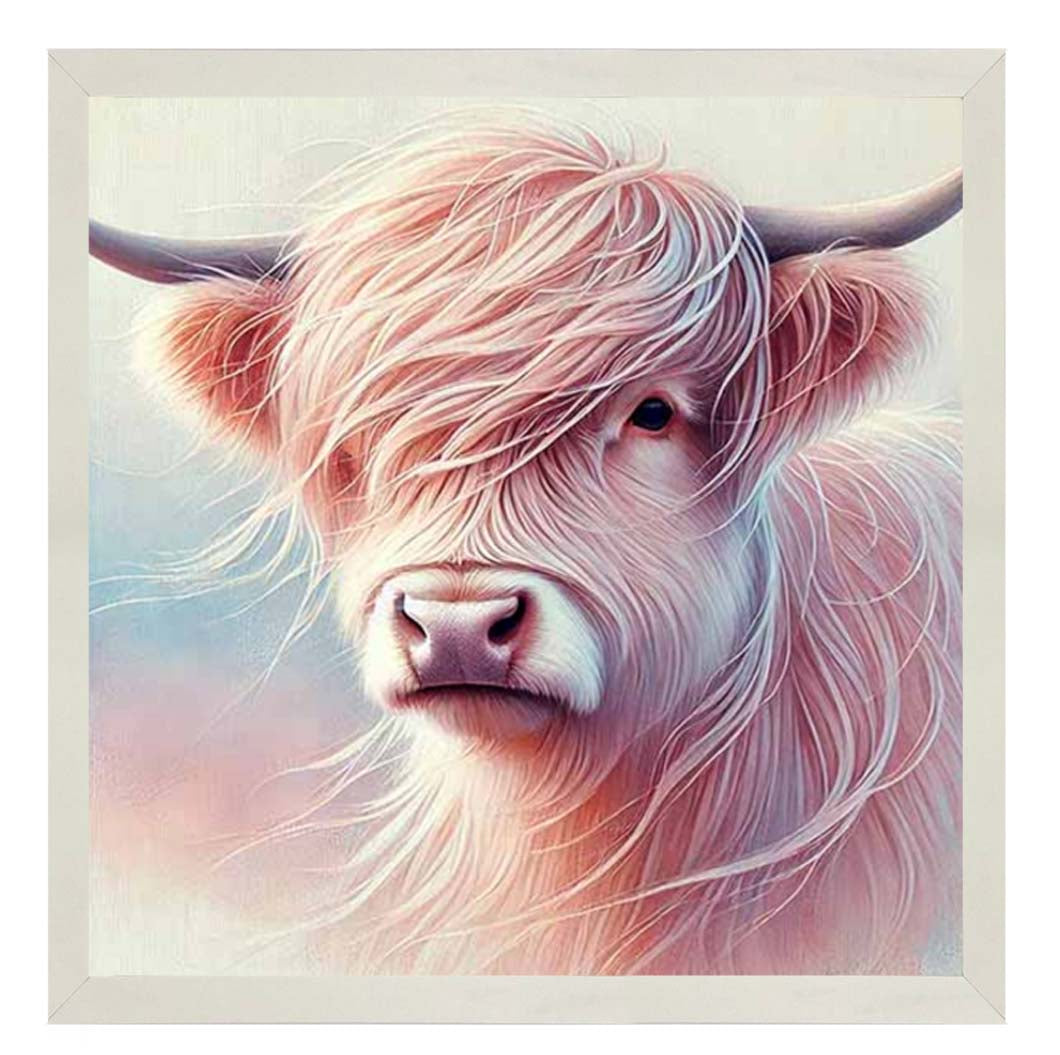 AN2265 Highland Cow