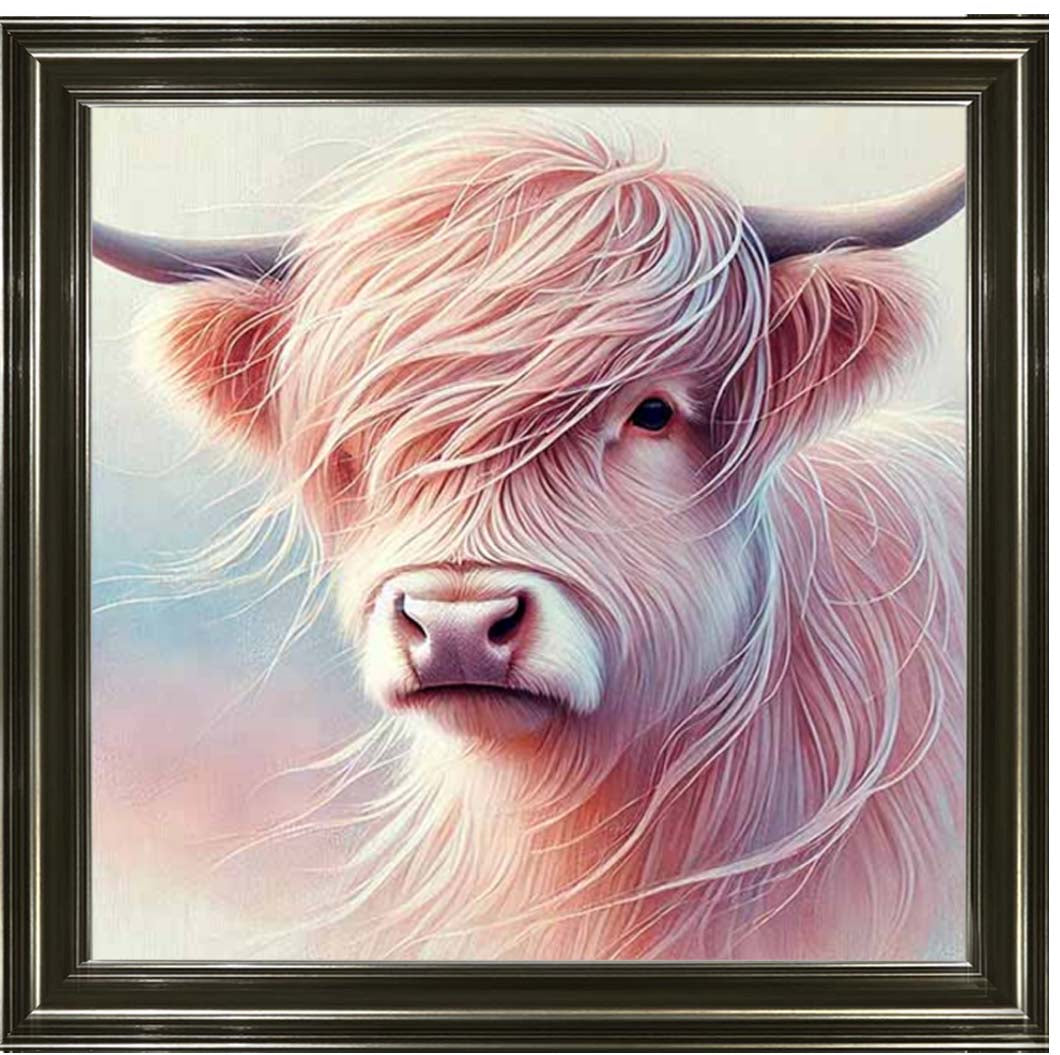 AN2265 Highland Cow