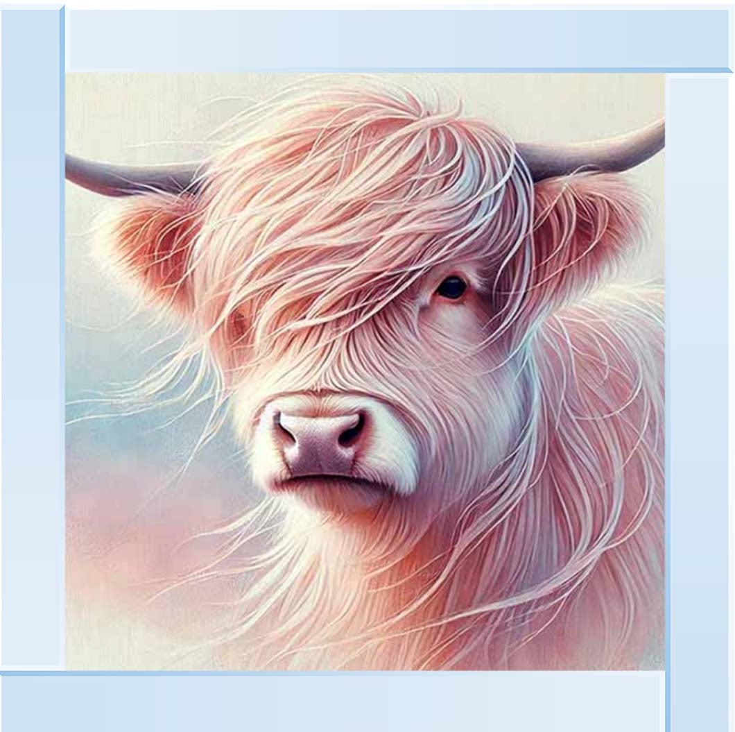 AN2265 Highland Cow