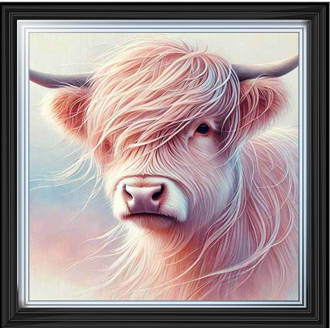 AN2265 Highland Cow