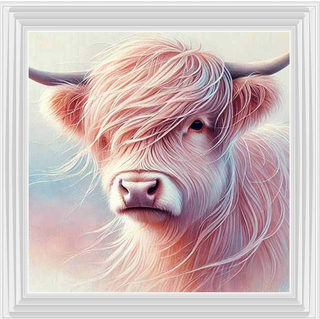 AN2265 Highland Cow