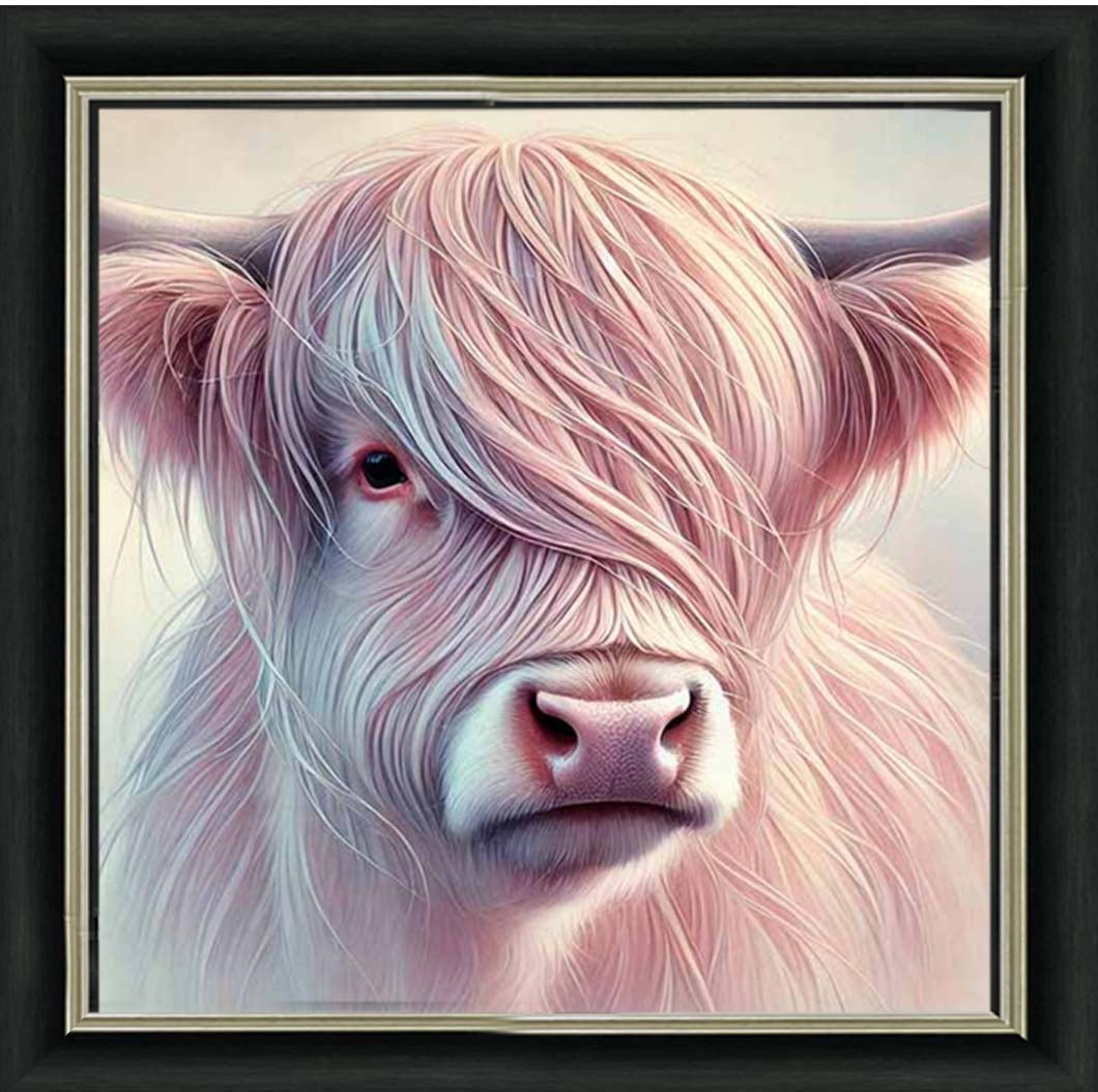 AN2266 Highland Cow
