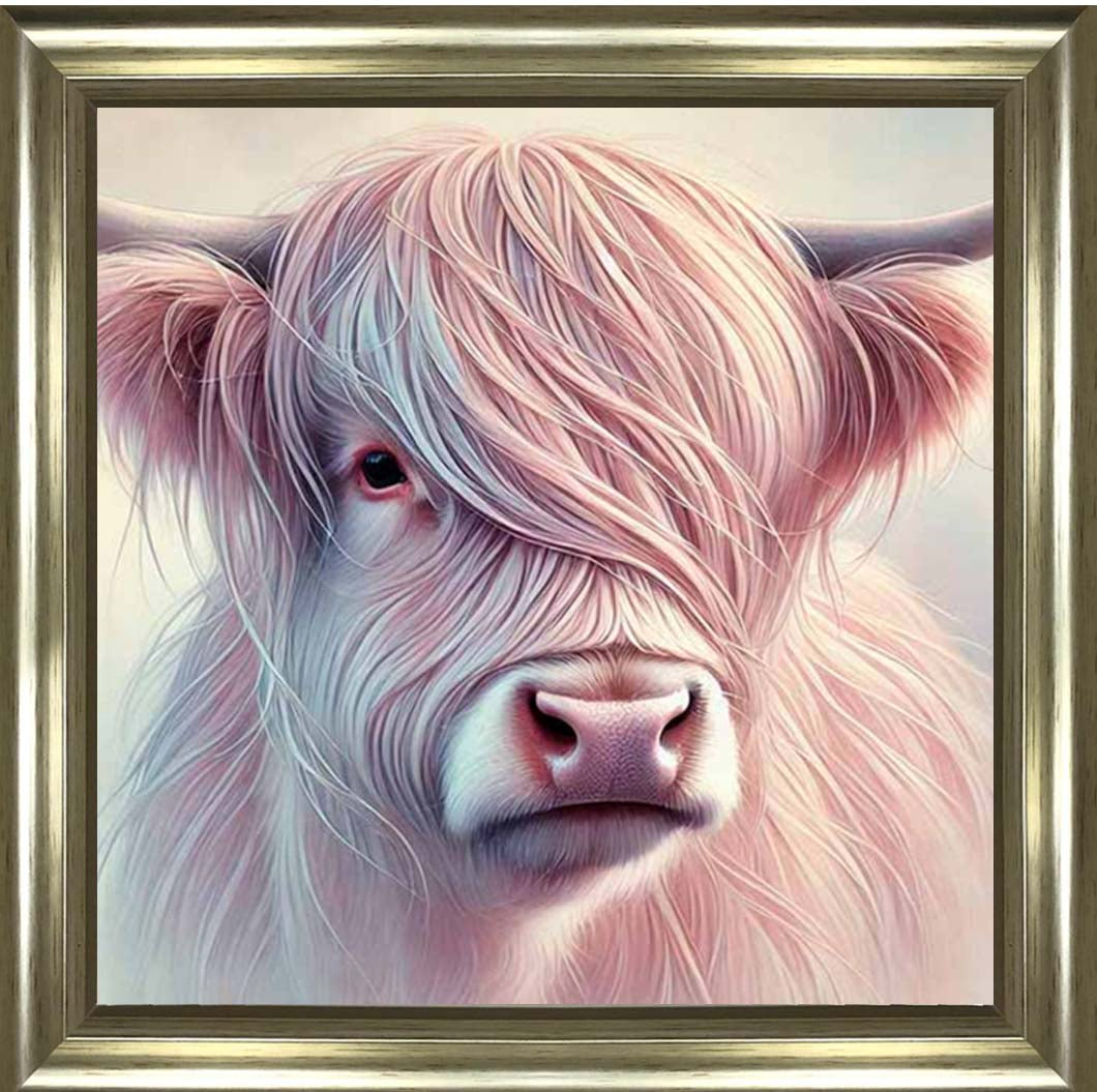 AN2266 Highland Cow