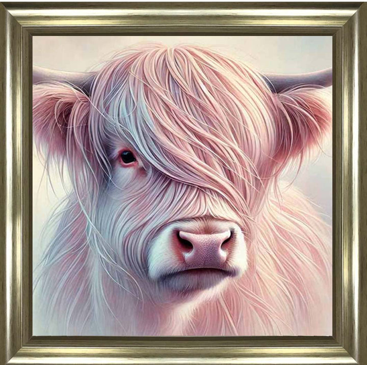 AN2266 Highland Cow