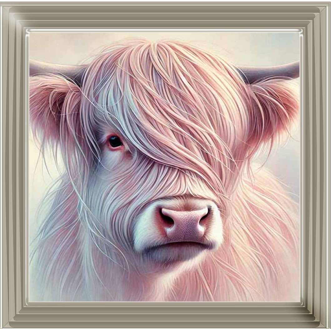 AN2266 Highland Cow
