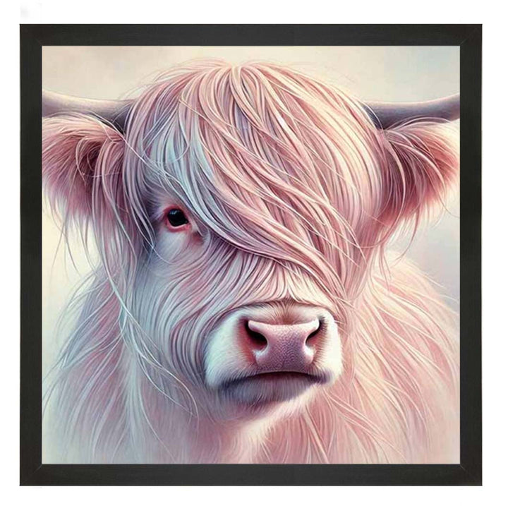 AN2266 Highland Cow