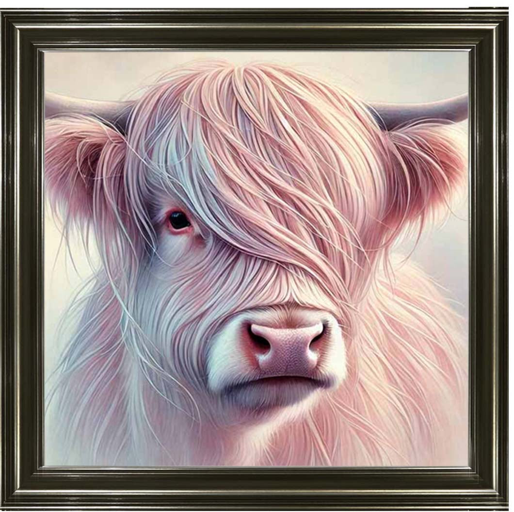 AN2266 Highland Cow