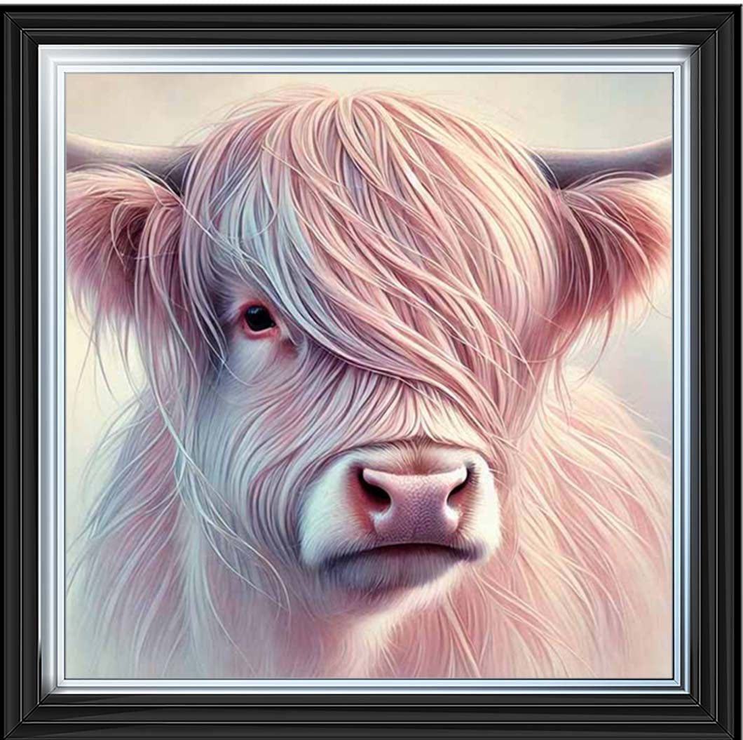 AN2266 Highland Cow