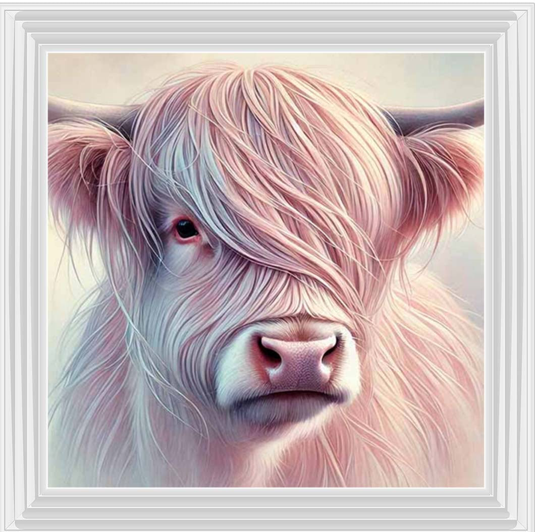 AN2266 Highland Cow