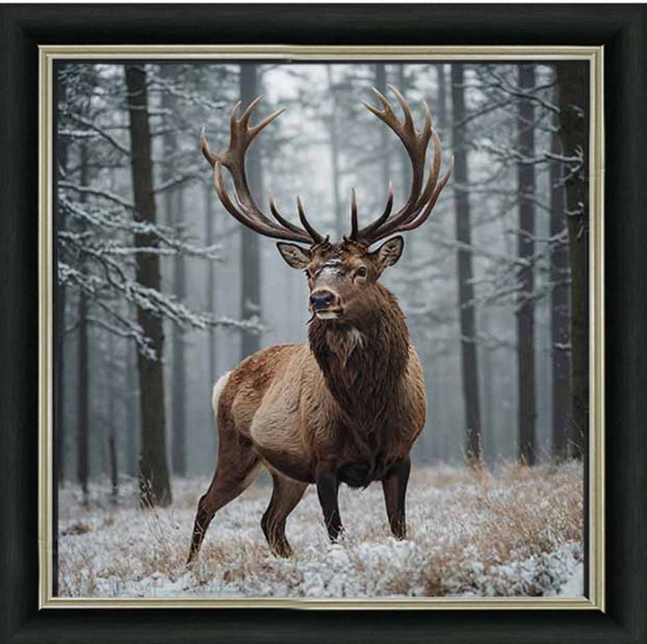 AN2275 Stag In Jungle
