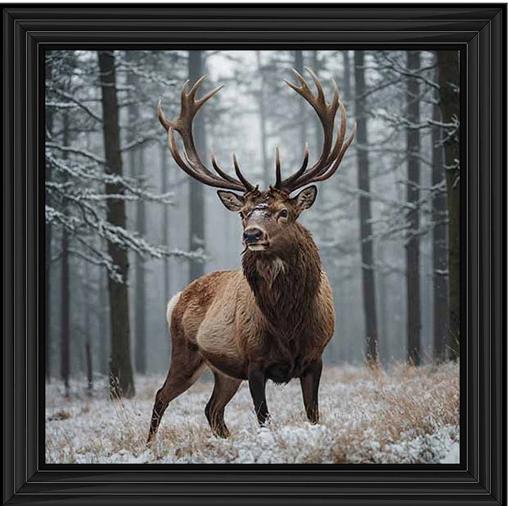 AN2275 Stag In Jungle